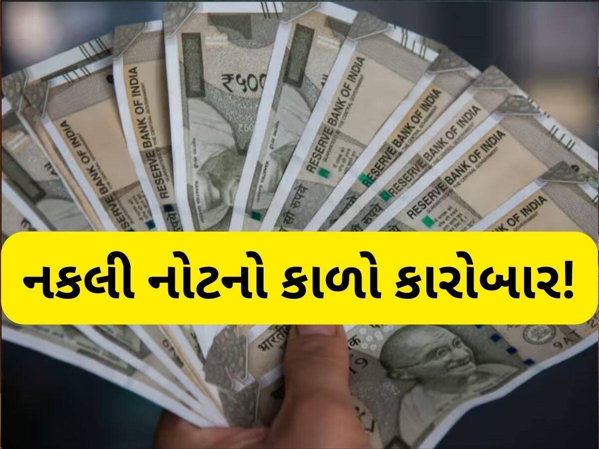  1 લાખની અસલી નોટ સામે 5 લાખની નકલી નોટ લઈ જાવ, સોશિયલ મીડિયામાં અપલોડ કર્યો વીડિયો