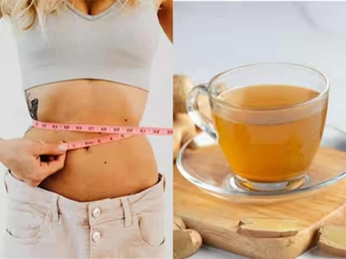 Weight Loss Drink: વજન ઘટાડી સ્લીમ રહેવું હોય તો ડાયટમાં સામેલ કરી લો આ 3 ડ્રિંક્સ, વજન રહેશે કંટ્રોલમાં Weight Loss Drink: વજન ઘટાડી સ્લીમ રહેવું હોય તો ડાયટમાં સામેલ કરી લો આ 3 ડ્રિંક્સ, વજન રહેશે કંટ્રોલમાં