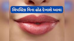 હોઠને નેચરલી પિંક બનાવવા અપનાવો આ 3 ઘરેલુ ઉપાય, લિપસ્ટિક કરવાની જરૂર નહીં પડે
