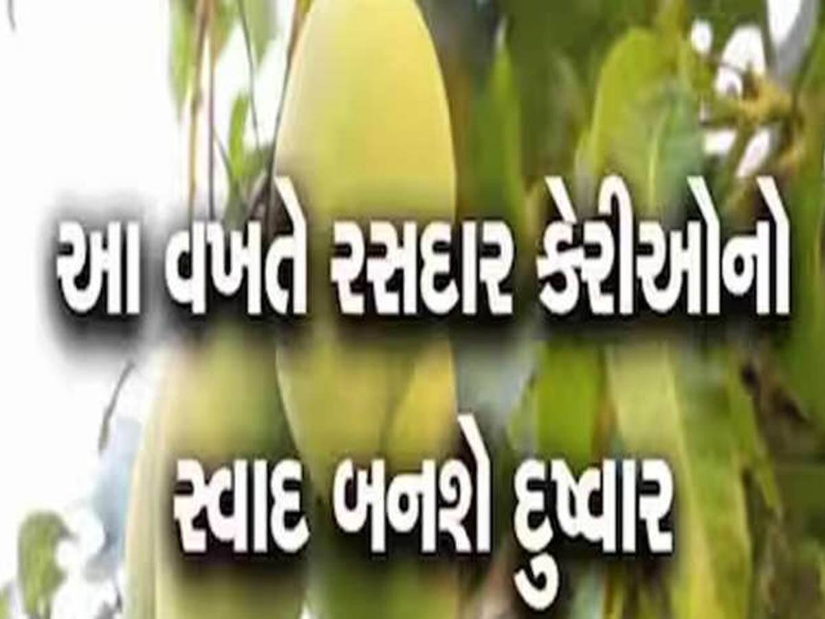 ગુજરાતમાં કેરી પકવતા ખેડૂતો માટે સૌથી ખતરારૂપ સમાચાર; આ વર્ષે આવી શકે છે રોવાનો વારો