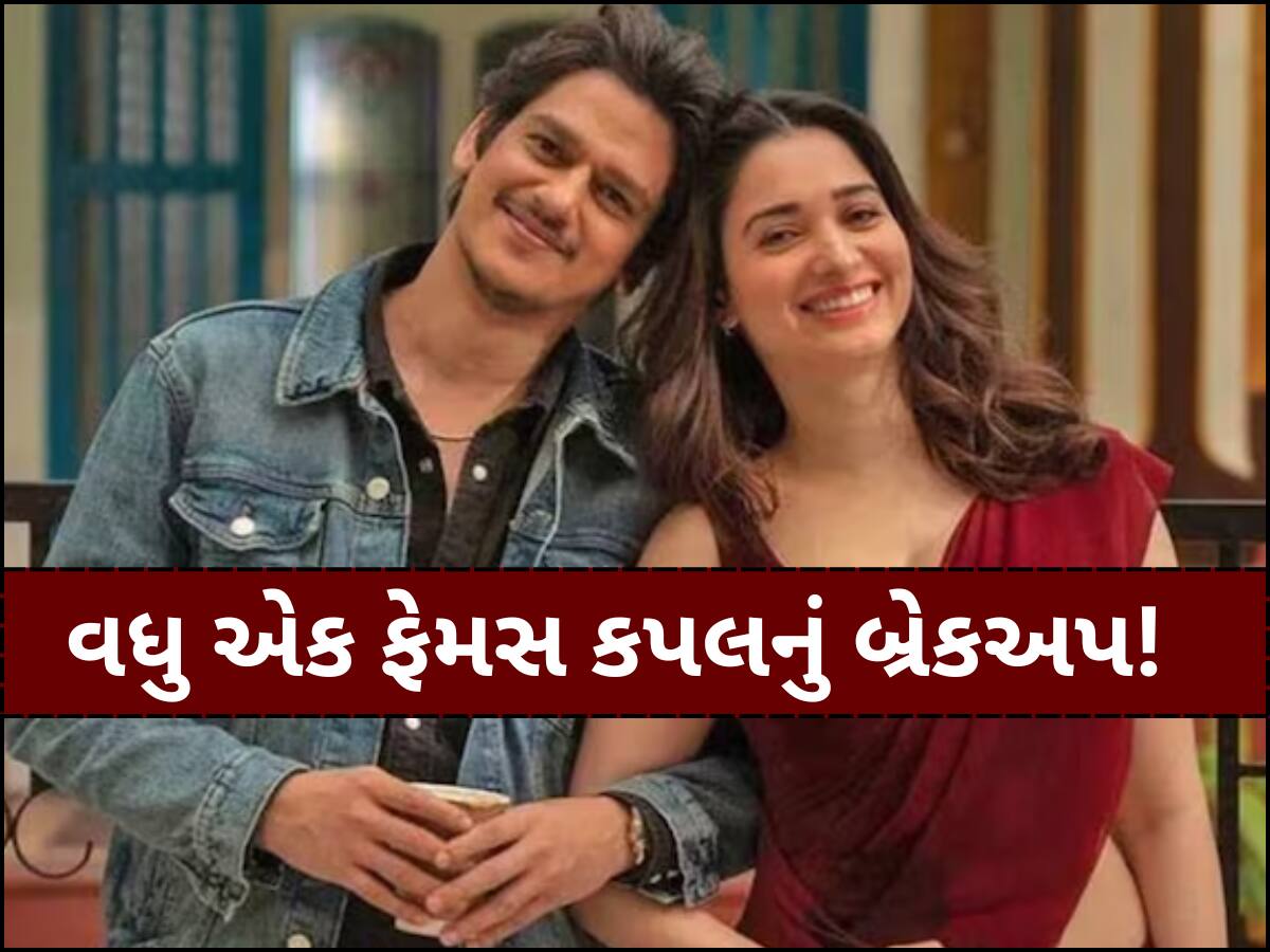 વર્ષો સુધી રિલેશનશિપમાં રહ્યા બાદ તમન્ના ભાટિયા-વિજય વર્માનું થયું બ્રેકઅપ? ઇન્સ્ટાગ્રામમાંથી એક્ટ્રેસે ડિલીટ કર્યા ફોટા