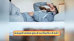 પુરુષોમાં સૌથી વધુ હોય છે આ વિટામિનની કમી? બસ આ વસ્તુને દહીંમાં ભેળવીને રોજ કરો સેવન