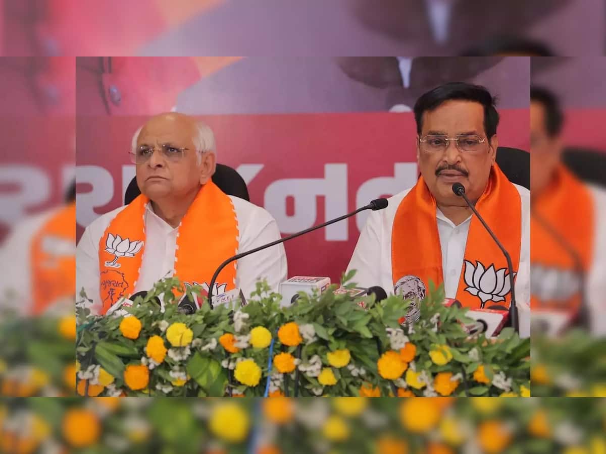 ભાજપે જૂનાગઢ મનપા અને અન્ય નગરપાલિકામાં હોદ્દેદારોની કરી નિમણૂંક, જાણો કોને મળી તક