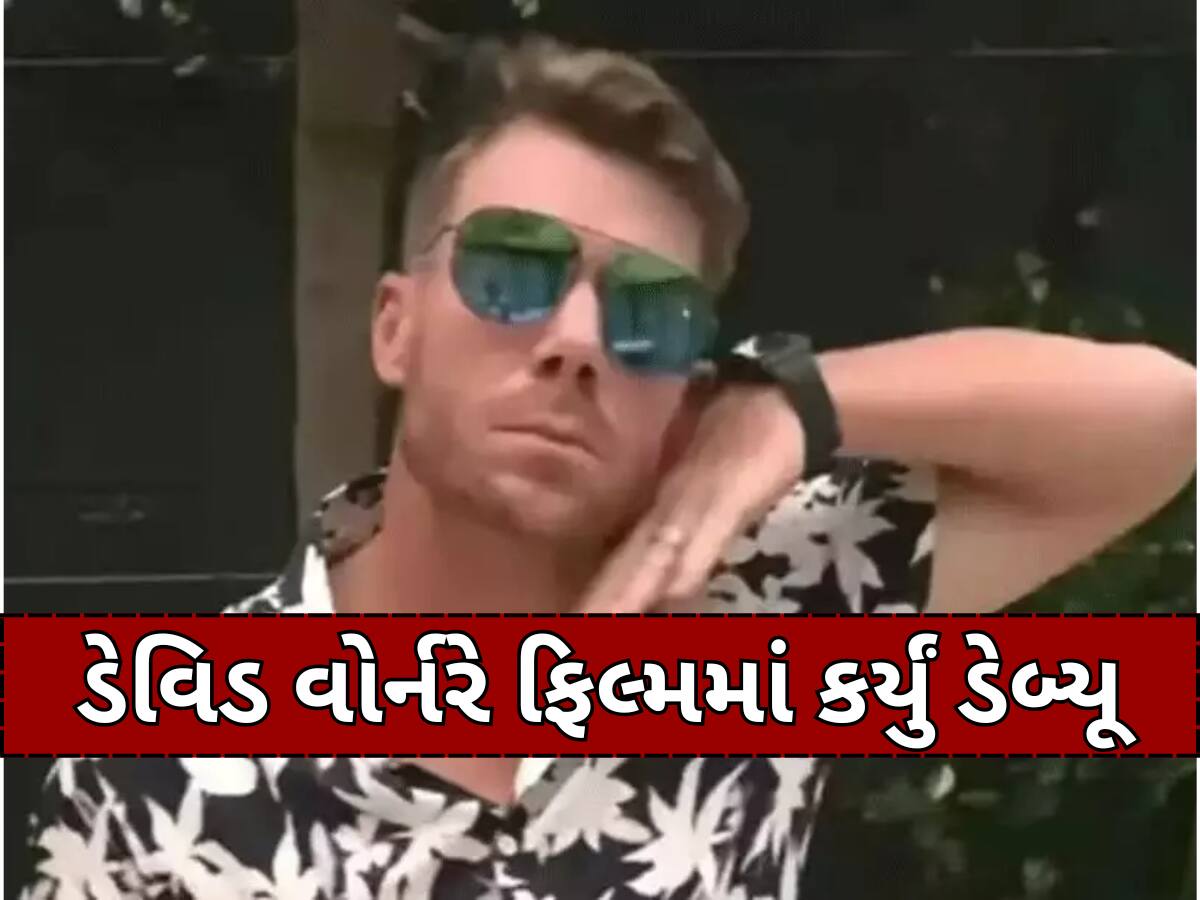 અલ્લુ અર્જુનનો ફેન અને દિગ્ગજ ક્રિકેટરનું ફિલ્મોમાં ડેબ્યૂ, વિસ્ફોટક બેટ્સમેન આ ફિલ્મમાં મચાવશે ધમાલ