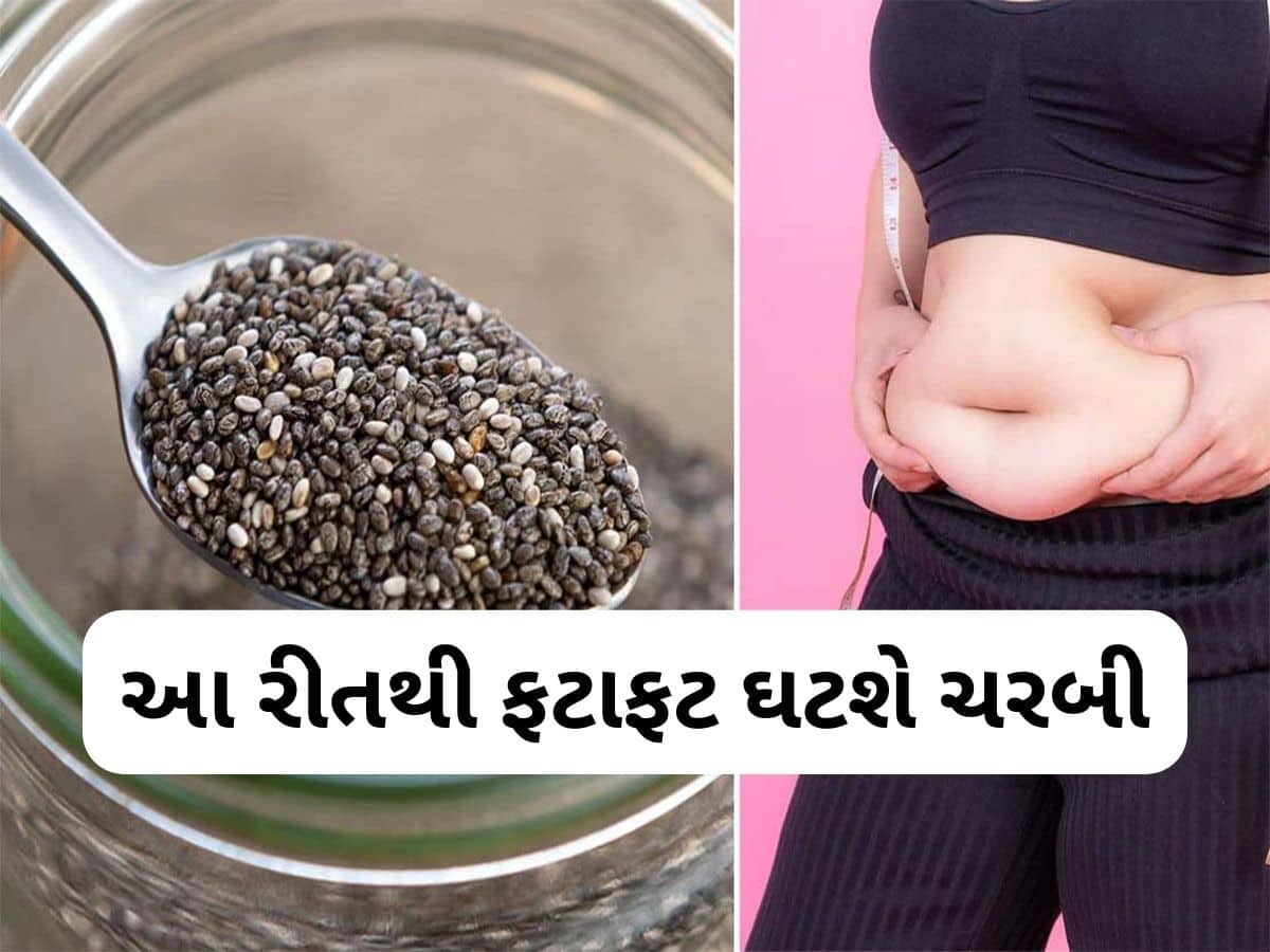 Chia Seeds: આ 2 વસ્તુ સાથે ચિયા સીડ્સ ખાવ તો ઝડપથી વજન ઘટે, બેડ કોલેસ્ટ્રોલ પણ થશે કંટ્રોલ