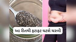 આ 2 વસ્તુ સાથે ચિયા સીડ્સ ખાવ તો ઝડપથી વજન ઘટે, બેડ કોલેસ્ટ્રોલ પણ થશે કંટ્રોલ