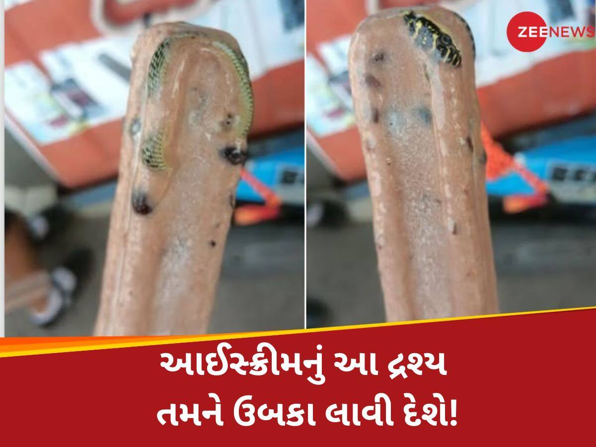 આઈસ્ક્રીમ ખરીદ્યા પછી રેપર ખોલતાં જ અંદર જોવા મળ્યો એક ઝેરી સાપ; આ દ્રશ્ય જોઈને ઠંડી પડી ગઈ નાડી 