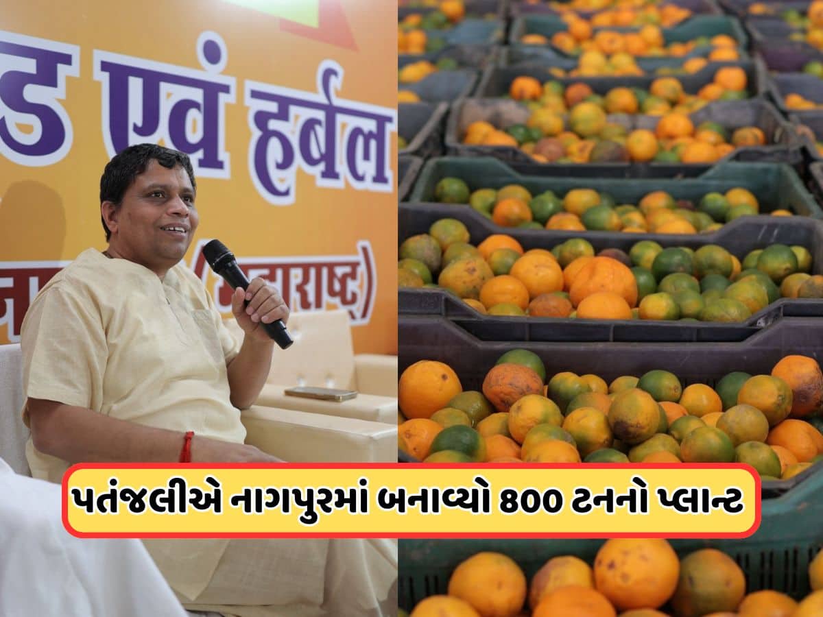 નાગપુરમાં બનશે પતંજલિ મેગા ફૂડ એન્ડ હર્બલ પાર્ક, ફૂડ પ્રોસેસિંગ માટે સિંગલ પોઈન્ટ અને સૌથી મોટું યુનિટ