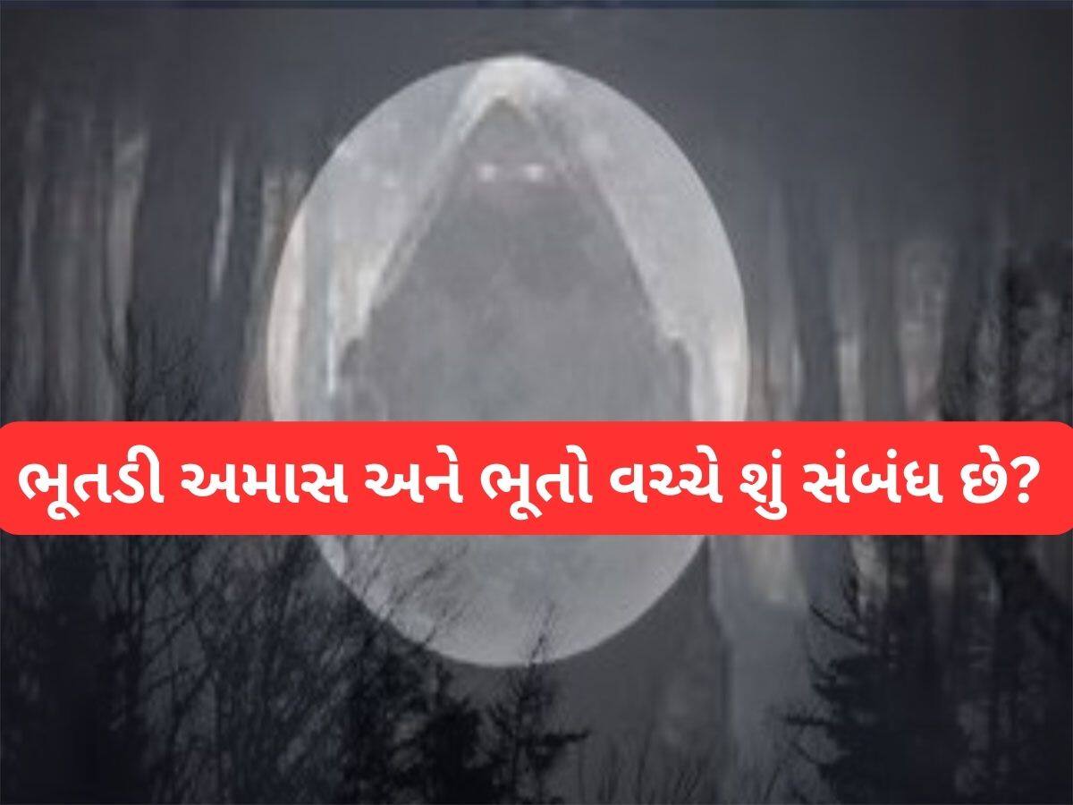 Bhutadi Amavasya 2025: 12 અમાસમાંથી ભૂતડી અમાવસ્યા સૌથી વિશેષ હોય છે, જાણો આ દિવસે શું કરવું અને શું નહીં ? 