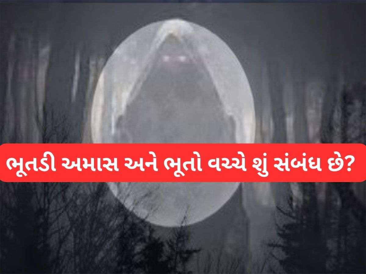 Bhutadi Amavasya 2025: 12 અમાસમાંથી ભૂતડી અમાવસ્યા સૌથી વિશેષ હોય છે, જાણો આ દિવસે શું કરવું અને શું નહીં ? Bhutadi Amavasya 2025: 12 અમાસમાંથી ભૂતડી અમાવસ્યા સૌથી વિશેષ હોય છે, જાણો આ દિવસે શું કરવું અને શું નહીં ?