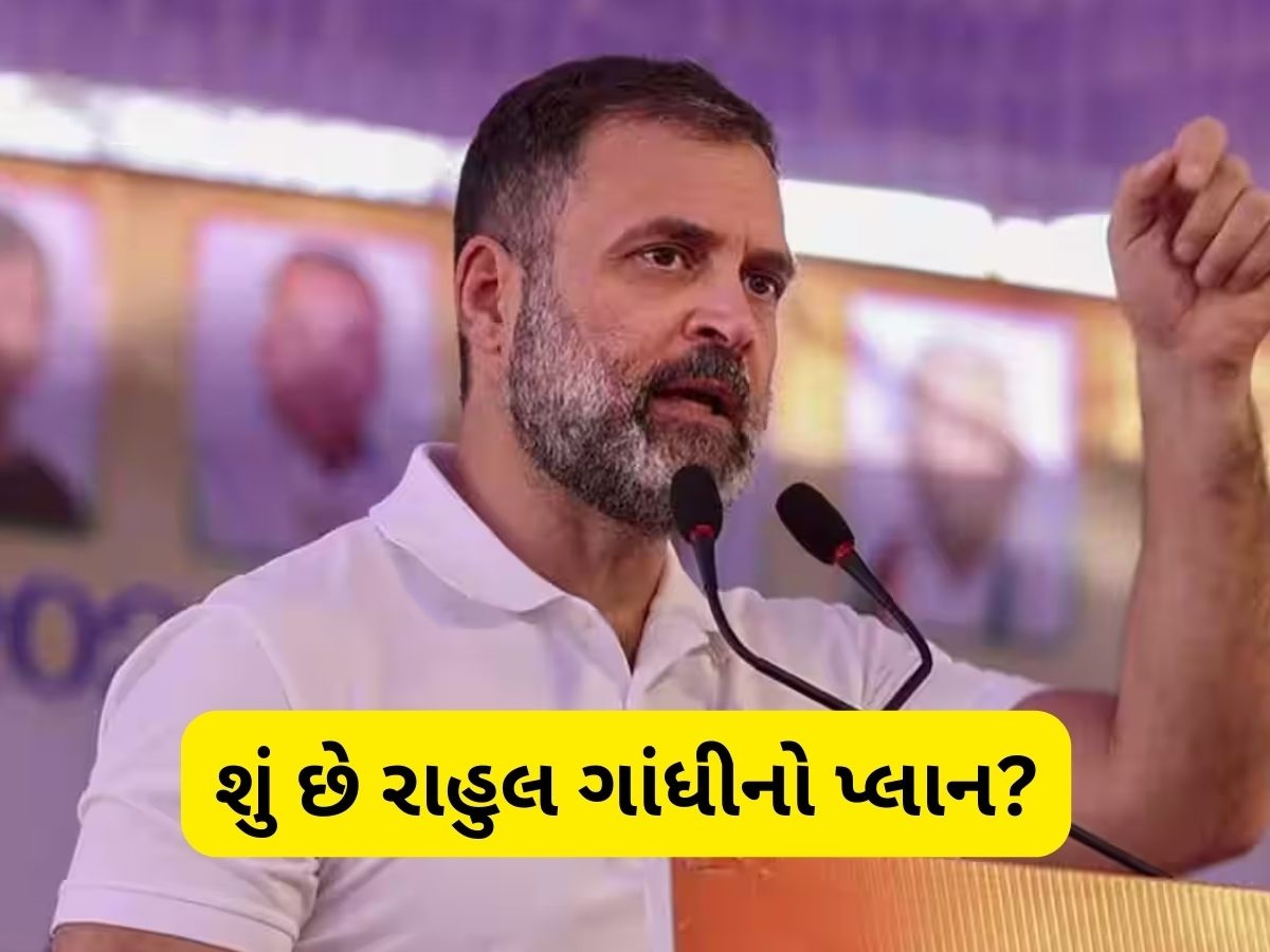ગુજરાત કોંગ્રેસના વરિષ્ઠ નેતાઓને દિલ્હીનું તેડું, રાહુલ ગાંધીએ બધાને દિલ્હી બોલાવ્યા