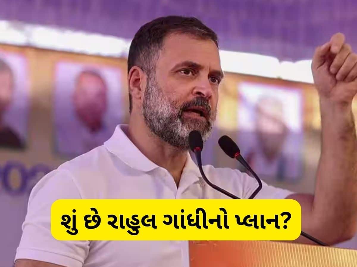  ગુજરાત કોંગ્રેસના વરિષ્ઠ નેતાઓને દિલ્હીનું તેડું, રાહુલ ગાંધીએ બધાને દિલ્હી બોલાવ્યા