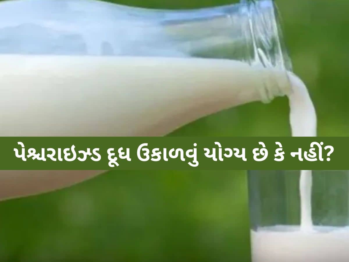 શું પેકેજ્ડ પેશ્ચરાઇઝ્ડ દૂધ ઉકાળ્યા વિના પીવું સુરક્ષિત છે? જાણો શું કહે છે એક્સપર્ટ?