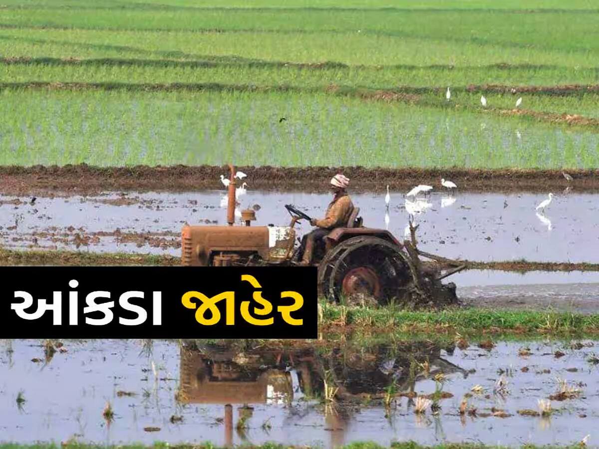 ગુજરાતના કેટલા ખેડૂતોને કેટલી સહાય અપાઈ, સરકારે વિધાનસભામાં આપ્યો રિપોર્ટ સાથે આપ્યો આંકડો 