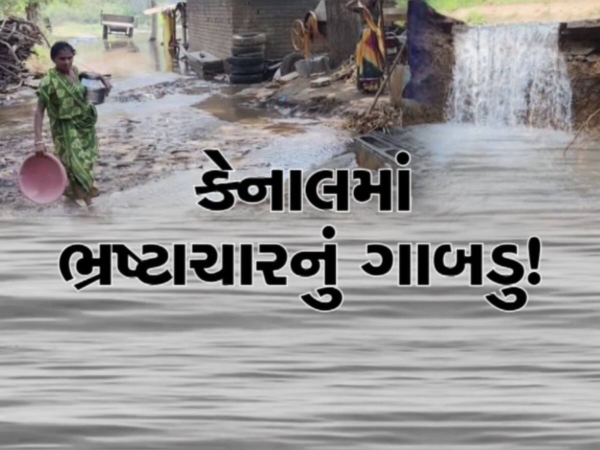  નર્મદા કેનાલમાં ગાબડું પડતા 200 ખેતરોમાં ઘૂસ્યા પાણી, પાકને થયું નુકસાન, ખેડૂતોએ કરી વળતરની માંગ