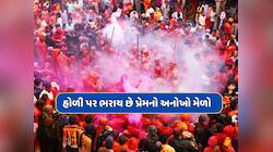 રંગ લગાવીને દિલ જીતો, જો કોઈ ગમી જાય તો ભાગીને કરો લગ્ન...હોળી પર અનોખો મેળો