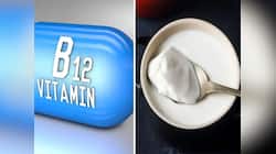 Vitamin B12: દહીંમાં આ વસ્તુ મિક્સ કરી ખાવાનું શરુ કરી દો, ઝડપથી વધશે વિટામિન B12