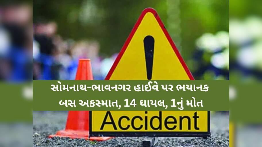 હોળીના તહેવારમાં લોહીલુહાણ પરિજનોને જોઈ પરિવારોમાં કલ્પાંતનો માહોલ; ભયાનક અકસ્માત