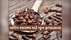 રાતે સૂતા પહેલા આ વસ્તુમાં મિક્સ કરીને પીવો લવિંગ,પુરુષોની આ 4 સમસ્યા થઈ શકે છે દૂર!