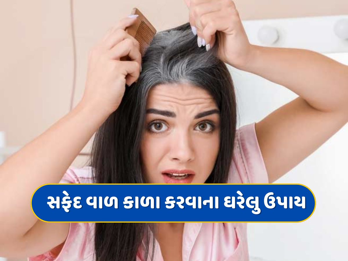 Hair Care Tips : નાની ઉંમરે જ સફેદ થવા લાગ્યા છે તમારા વાળ, તો આ ઘરેલુ ઉપાય છે રામબાણ ઈલાજ