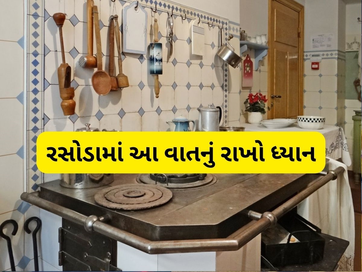 રસોડામાં આ બે વાસણ ક્યારેય ઉંધા ન રાખતા, નારાજ થઈ શકે છે મા લક્ષ્મી, પડશે આર્થિક મુશ્કેલી