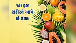 Summer Fruits : ઉનાળામાં જરૂર ખાઓ આ 5 ફળ...તમારા શરીરને મળશે ઠંડક અને દિવસભર એનર્જી