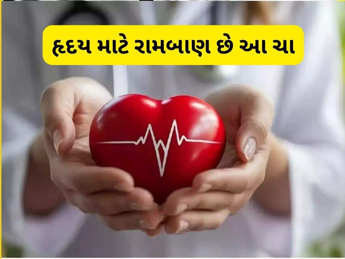  સવારે ઉઠી આ દેશી ચા પીવો, હાર્ટની સમસ્યા રહેશે દૂર, કોલેસ્ટ્રોલ અને બીપીમાં પણ થશે ફાયદો