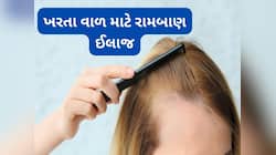 શું તમે પણ ખરતા વાળની સમસ્યાથી છો પરેશાન? તો આ પાનનો કરો ઉપયોગ, તરત મળશે રાહત