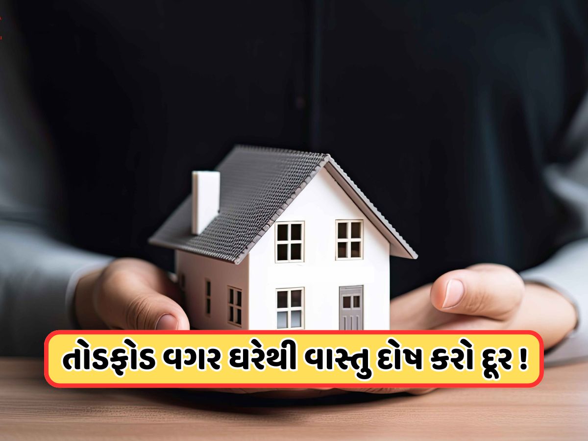 Home Vastu Tips: ઘરમાં કોઈપણ તોડફોડ વગર વાસ્તુ દોષથી બચવાના આ 7 સરળ ઉપાયો
