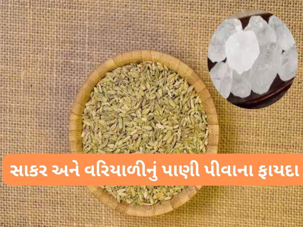 Saunf Mishri: ઉનાળામાં વરિયાળી અને સાકરનું પાણી પીશો તો નહીં થાય આ સમસ્યાઓ, આ રીતે બનાવી રોજ પીવું