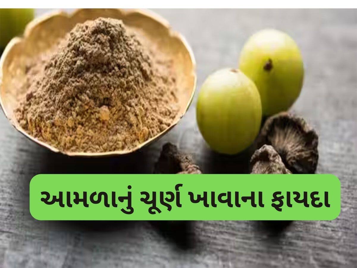 Amla Churna: સવારે નરણે કોઠે 1 ચમચી આમળા ચૂર્ણ ખાઈ લેવાનું રાખો, શરીરની આ 4 સમસ્યા દવા વિના દુર થઈ જશે