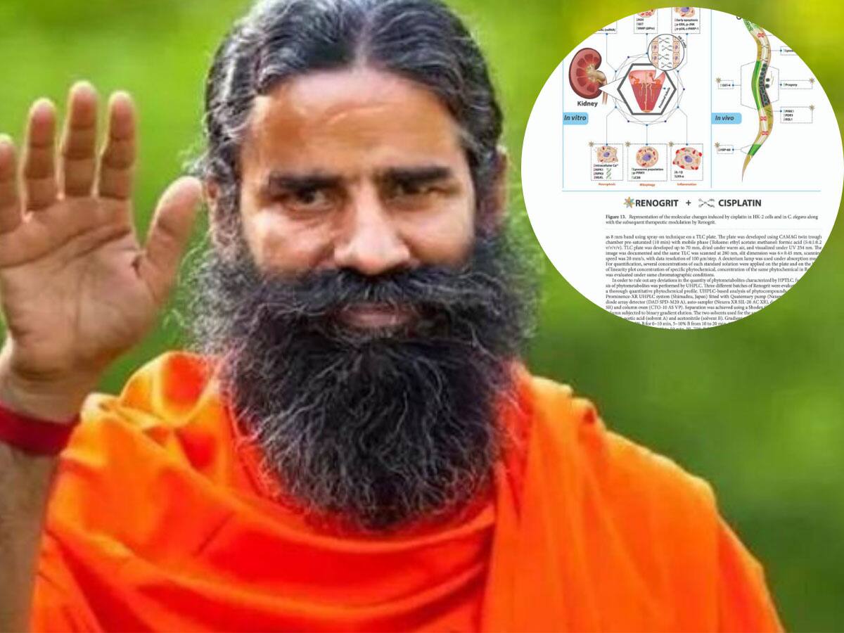 પરિશ્રમને મળ્યું સન્માન આયુર્વેદનું વૈશ્વિક સ્તરે વધ્યું માન! પતંજલિની ઐતિહાસિક ઉપલબ્ધિ!