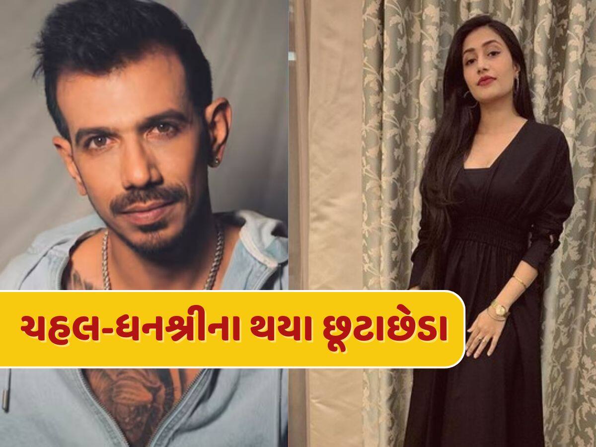 ધનશ્રી અને યજુવેન્દ્ર ચહલના સંબંધોનો આવ્યો અંત, લગ્નના 4 વર્ષ બાદ થયા છૂટાછેડા, જાણો શું કહ્યું વકીલે 