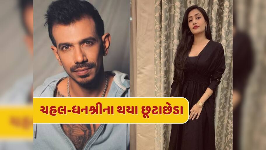 ધનશ્રી અને યજુવેન્દ્ર ચહલના સંબંધોનો આવ્યો અંત, લગ્નના 4 વર્ષ બાદ થયા છૂટાછેડા, જાણો શું કહ્યું વકીલે 