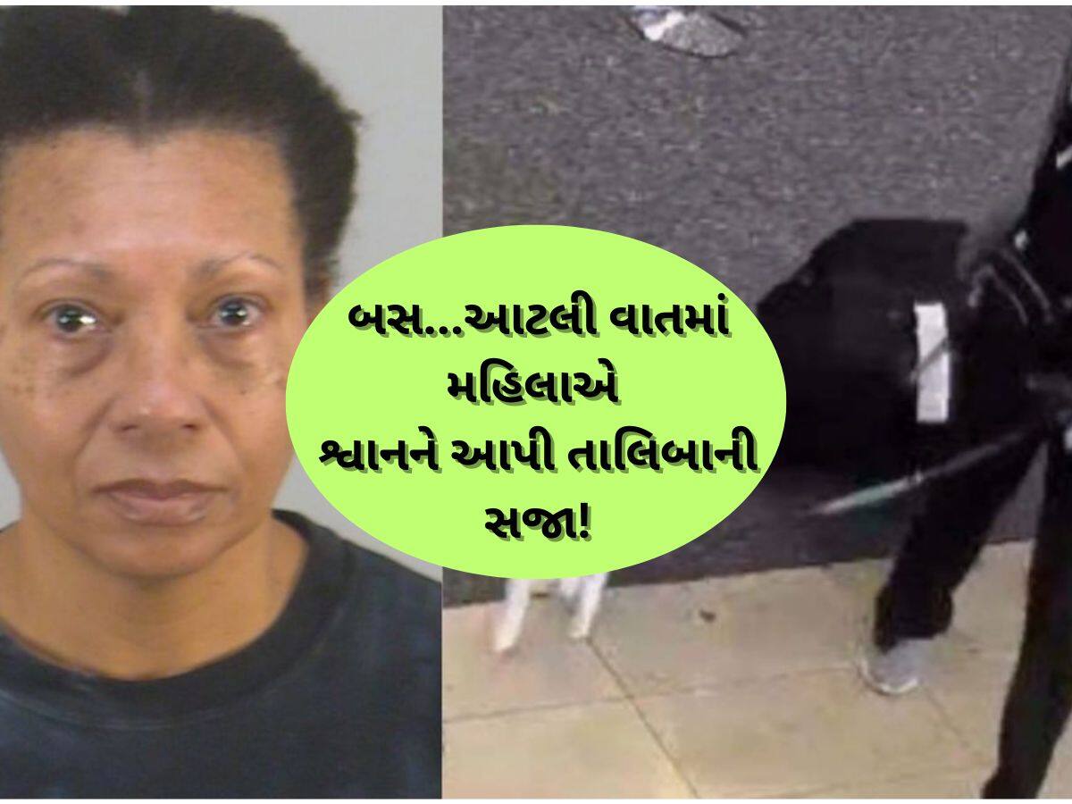 ઘોર કળિયુગ! આ મહિલાએ ક્રૂરતાની હદ વટાવી...વોશરૂમમાં જઈને શ્વાનને ડૂબાડી ડૂબાડીને મારી નાંખ્યો! ઘોર કળિયુગ! આ મહિલાએ ક્રૂરતાની હદ વટાવી...વોશરૂમમાં જઈને શ્વાનને ડૂબાડી ડૂબાડીને મારી નાંખ્યો!