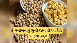 રાત્રે ચણા પલાળવાનું ભુલી જાવ તો ટ્રાય કરો આ ટ્રીક, 1 જ કલાકમાં પલળી જશે કાબુલી ચણા