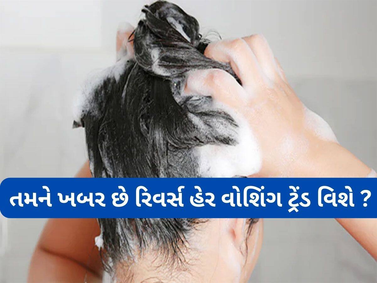 Hair Wash Tips: રાતોરાત વાયરલ થઈ ગયો વાળ ધોવાનો આ ટ્રેંડ, શેમ્પૂ કર્યા પછી વાળ થઈ જાય છે રેશમ જેવા મુલાયમ 