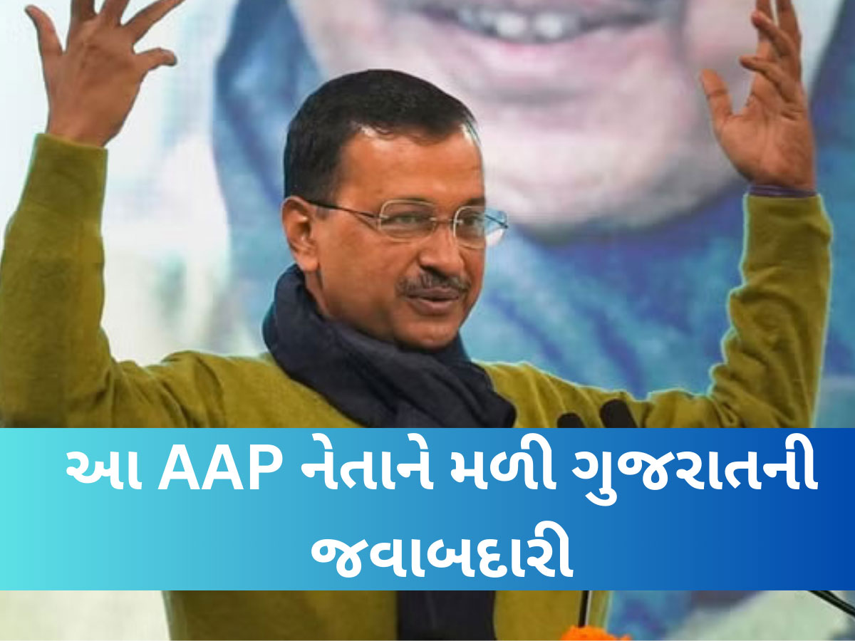 દિલ્હી ગુમાવ્યું તો હવે ગુજરાત પર નજર? AAP સંગઠનમાં ધરખમ ફેરફાર, આ દિગ્ગજ નેતાના હાથમાં હવે ગુજરાતની કમાન દિલ્હી ગુમાવ્યું તો હવે ગુજરાત પર નજર? AAP સંગઠનમાં ધરખમ ફેરફાર, આ દિગ્ગજ નેતાના હાથમાં હવે ગુજરાતની કમાન
