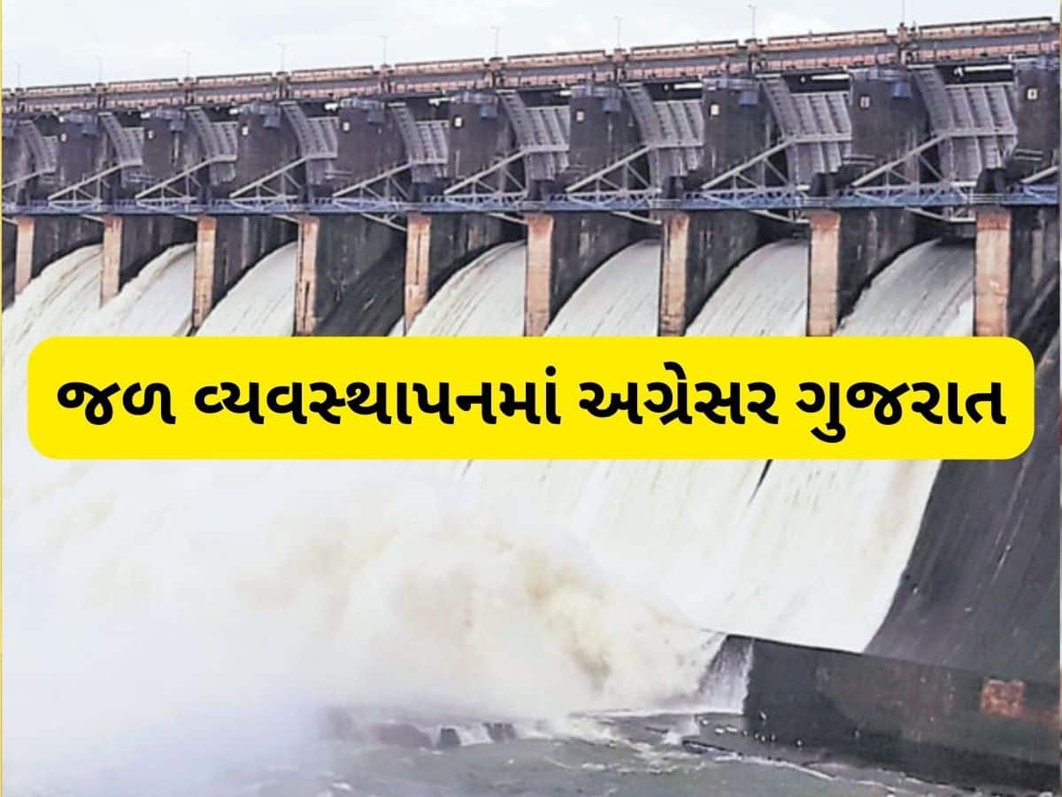  એક સમયે પાણી માટે વલખાં મારતું ગુજરાત બન્યું જળ સમૃદ્ધ રાજ્ય, આ યોજનાએ બદલી દશા અને દિશા