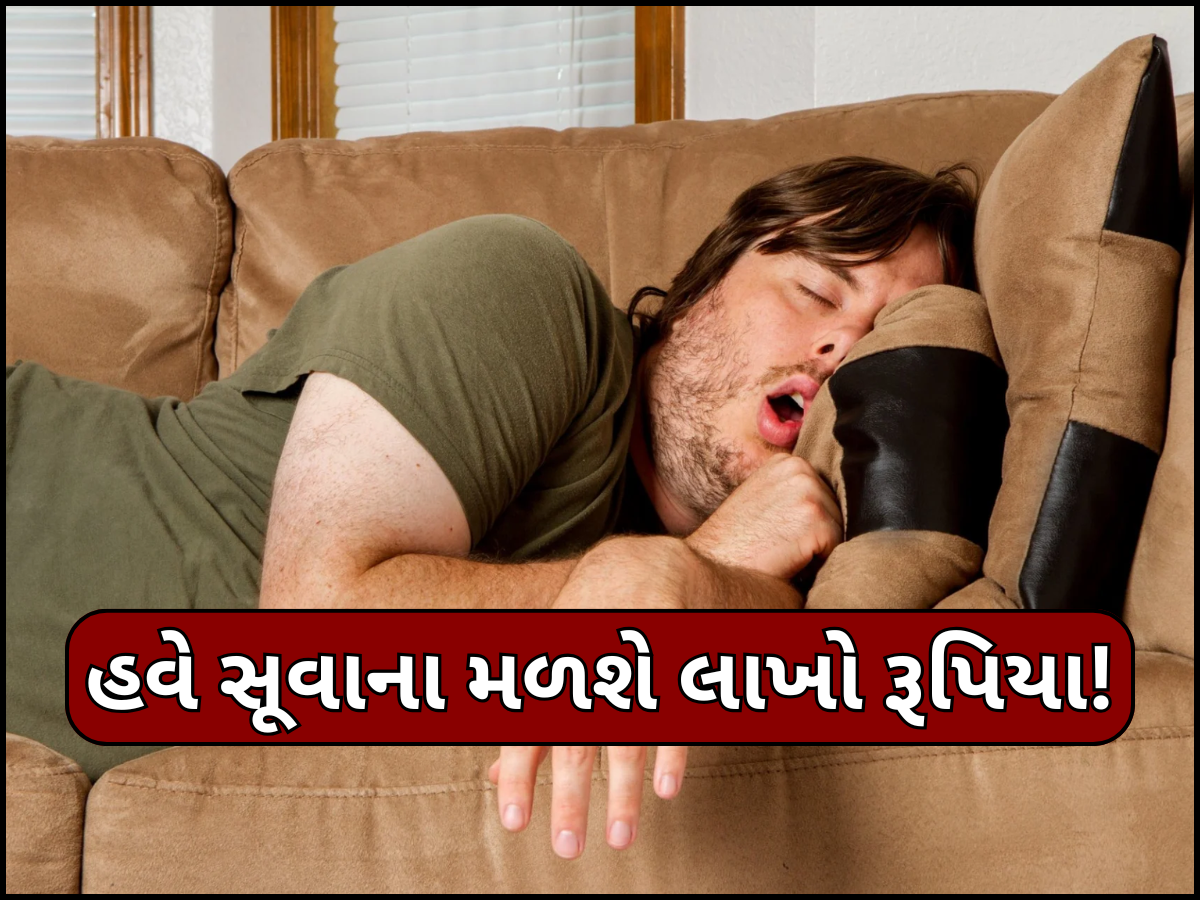 આળસુ લોકો માટે ખુશખબર! 10 દિવસ સુધી કરો ભરપૂર ઊંઘ, બદલામાં મળશે લાખો રૂપિયા