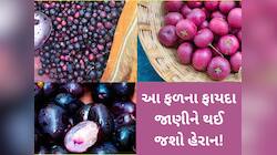 કેરી જ નહીં... ઉનાળામાં આ 6 ફળ પણ છે સ્વાસ્થ્ય માટે વરદાન,શરીરને મળશે જબરદસ્ત ફાયદા!