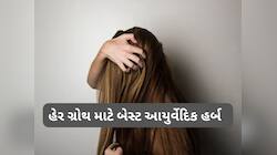 Hair Growth Tips: આ 4 આયુર્વેદિક હર્બ્સ વાળ માટે બેસ્ટ, ઝડપથી લાંબા થશે વાળ