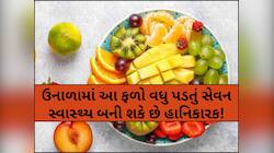ઉનાળામાં આ 4 ફળો ભૂલથી પણ ખાવાની ન કરતા ભૂલ! નહીંતર પડી શકે લેવાના દેવા!
