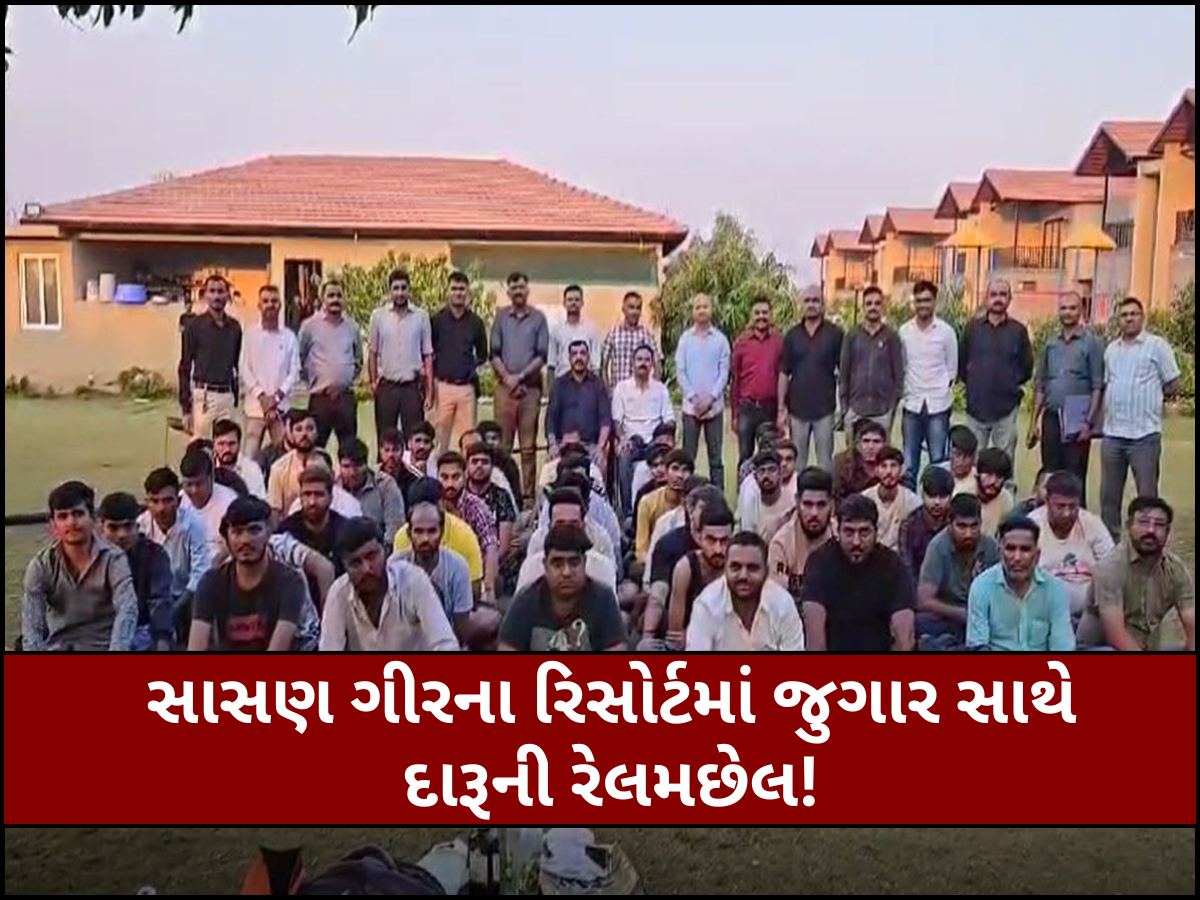 સાસણ ગીરમાં રિસોર્ટમાંથી ઝડપાયું મસમોટું જુગારધામ, 55 જુગારીઓ કરોડોના મુદ્દામાલ સાથે ઝડપાયા સાસણ ગીરમાં રિસોર્ટમાંથી ઝડપાયું મસમોટું જુગારધામ, 55 જુગારીઓ કરોડોના મુદ્દામાલ સાથે ઝડપાયા