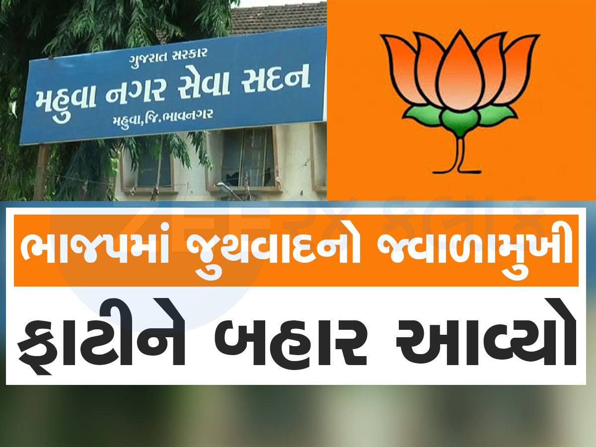 શિસ્તબદ્ધ પાર્ટીમાં શિસ્તતાના ચીંથરા ઉડ્યા, મહુવા ભાજપમાં કકળાટને કારણે જનતા માટેનું બજેટ પાસ ન થયું