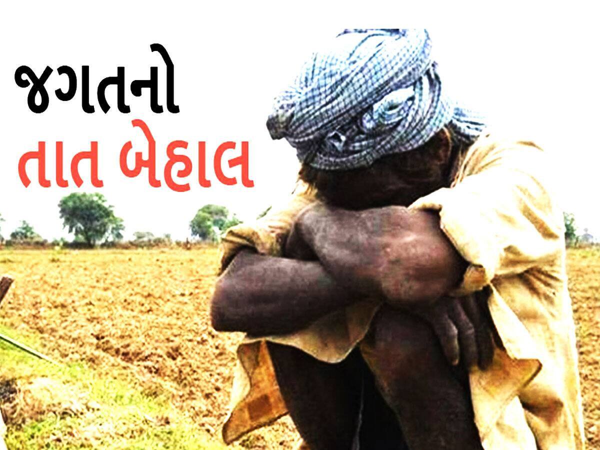 ગુજરાતમાં આ ખેતી કરીને પછતાયા ખેડૂતો, ભાવ અડધો થઈ જતા રડવાનો વારો આવ્યો 