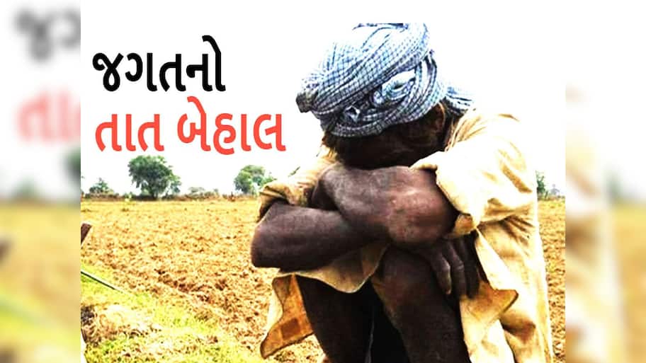 ગુજરાતમાં આ ખેતી કરીને પછતાયા ખેડૂતો, ભાવ અડધો થઈ જતા રડવાનો વારો આવ્યો 