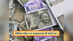 Pepsico માટે બોટલિંગ કરતી કંપની આપી રહી છે ડિવિડન્ડ, રેકોર્ડ ડેટ કરી જાહેર