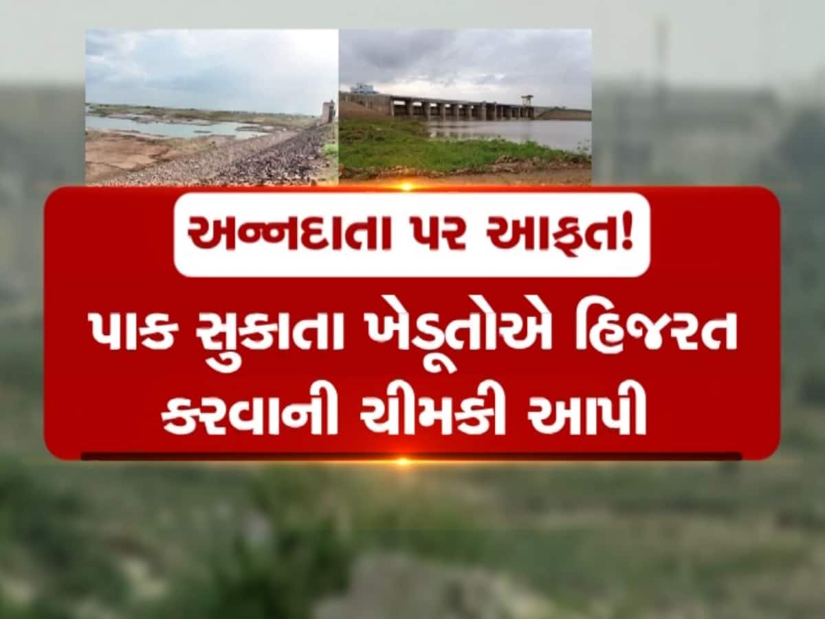 અન્નદાતા પર આફત! ઉનાળો આવતા જ દેખાયા ડેમના તળિયા, સિંચાઈનું પાણી બંધ કરતા ખેડૂતોમાં રોષ 