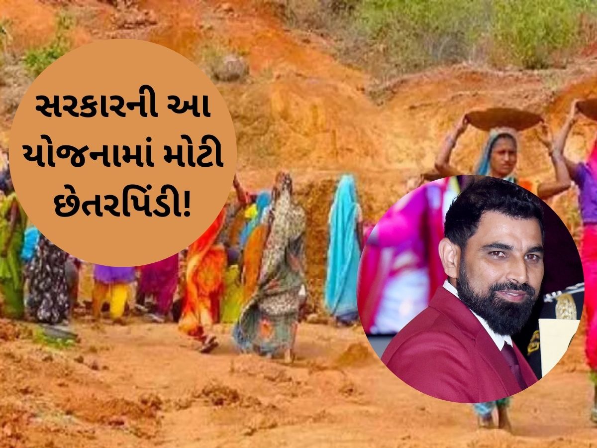 કરોડપતિ મોહમ્મદ શમીની બહેન-જીજા મનરેગા મજૂર, 2 વર્ષમાં કમાયા 70,000, ડૉક્ટર-એન્જિન્યરો પણ મેળવે છે મજૂરી કરોડપતિ મોહમ્મદ શમીની બહેન-જીજા મનરેગા મજૂર, 2 વર્ષમાં કમાયા 70,000, ડૉક્ટર-એન્જિન્યરો પણ મેળવે છે મજૂરી